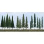 Evergreen Tree Bulk Pack -- 2-1/2 to 6" 6.4 to 15.2cm pkg(90)